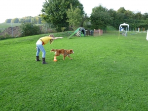 Inu Jugend und Hund