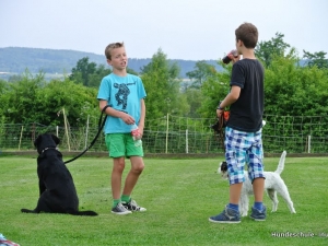 Jugend und Hund Juli