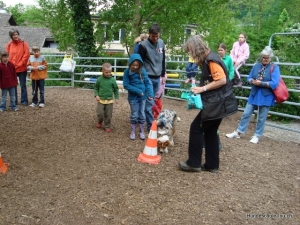 Kinderreitschule Albisrieden