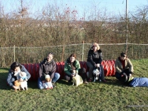 fun-hundeschule-inu-018