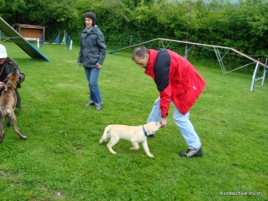 dsc09153-bearbeitet