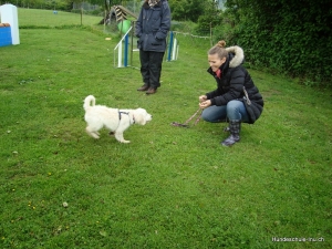 dsc09181-bearbeitet